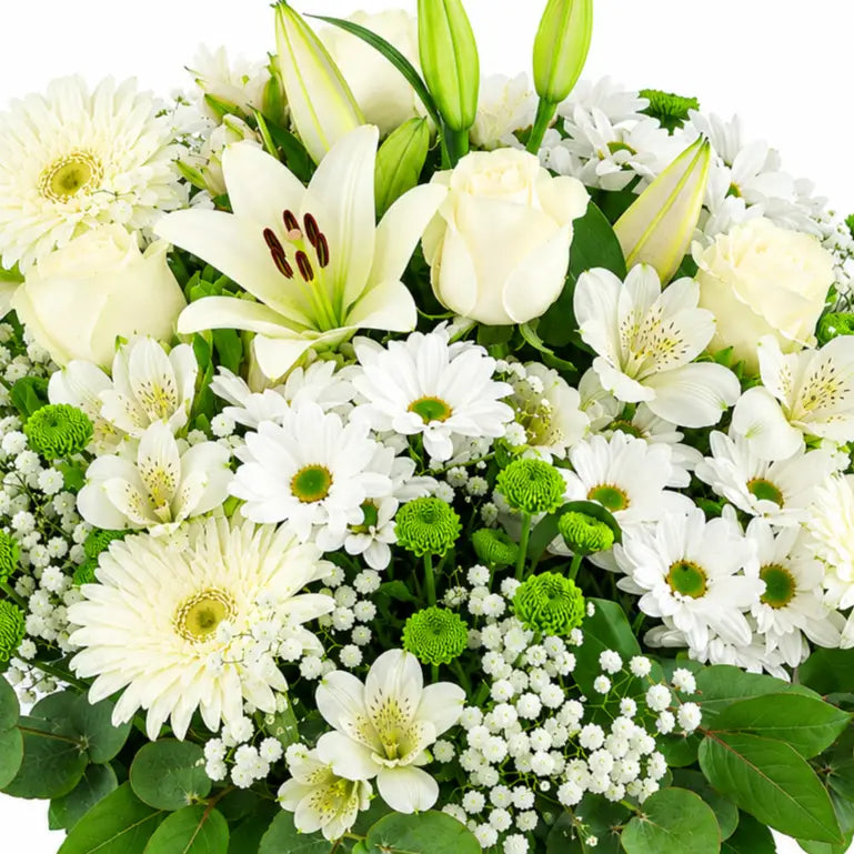 Flores para desear una pronta recuperación