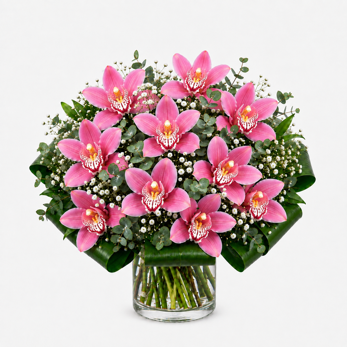 Ramo orquídeas fucsias