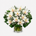 Bouquet of white orchids