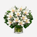 Bouquet of white orchids