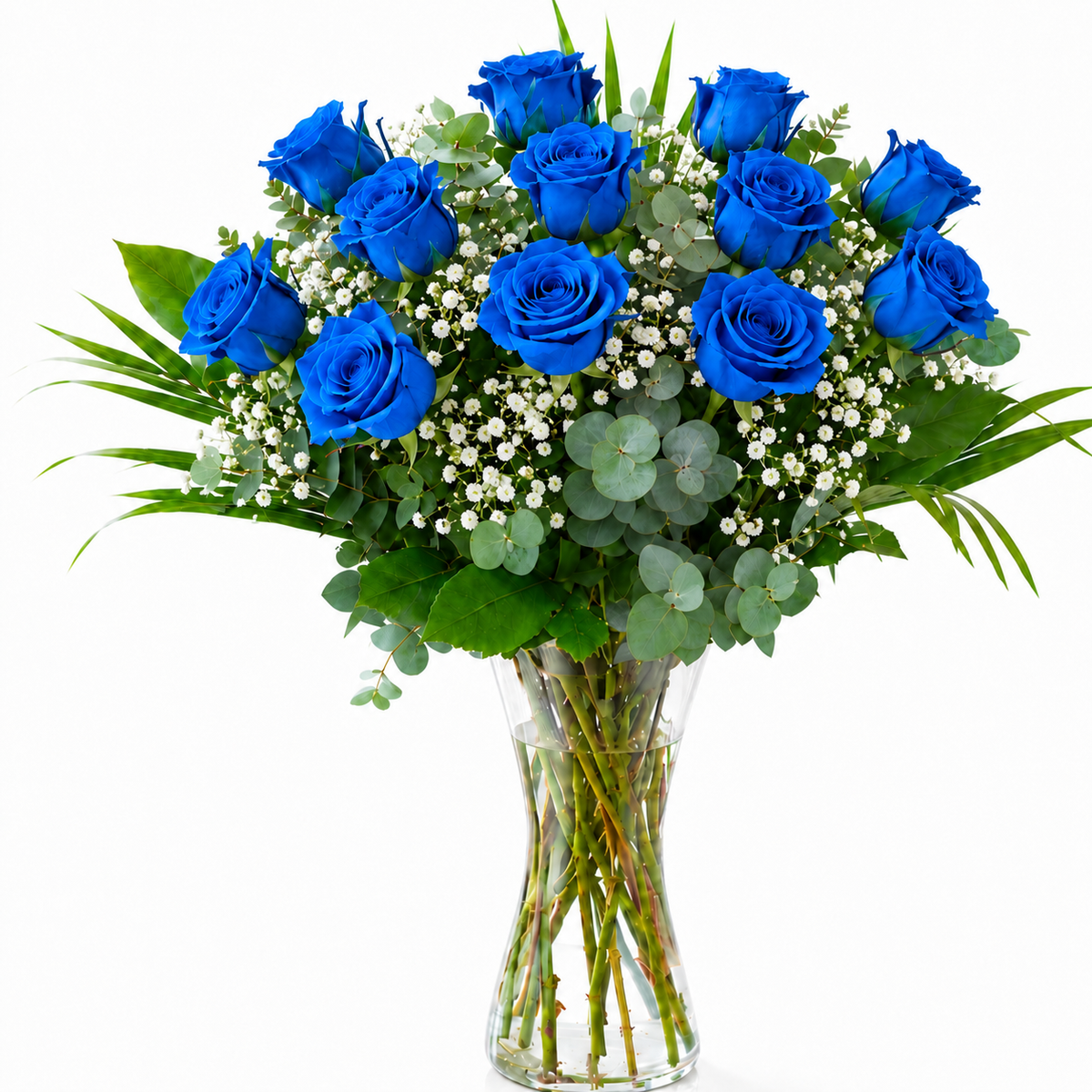 Rosas azules de tallo largo