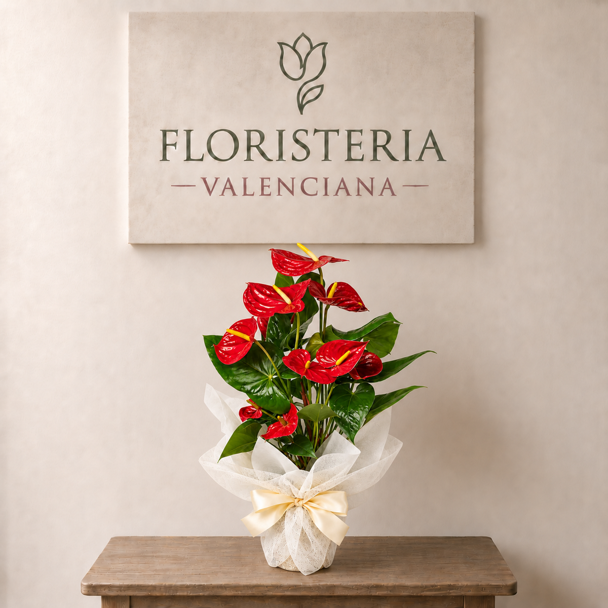 Planta anthurium rojo