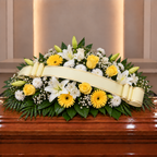 Centro funebre Naureli