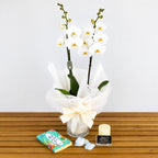 Planta orquídea blanca