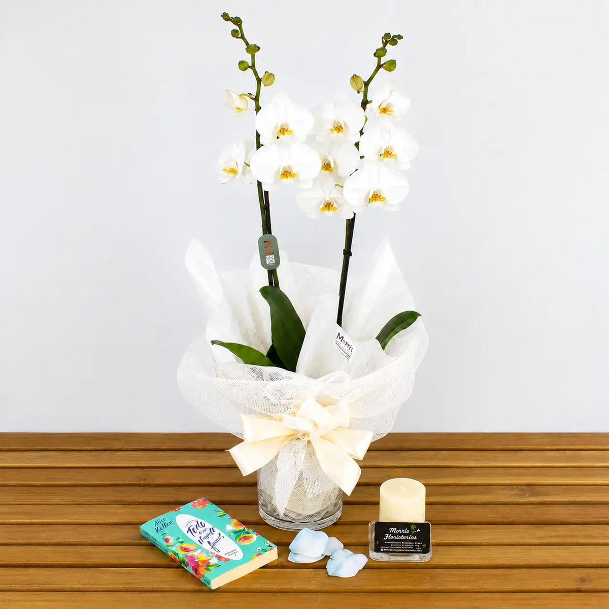 Planta orquídea blanca