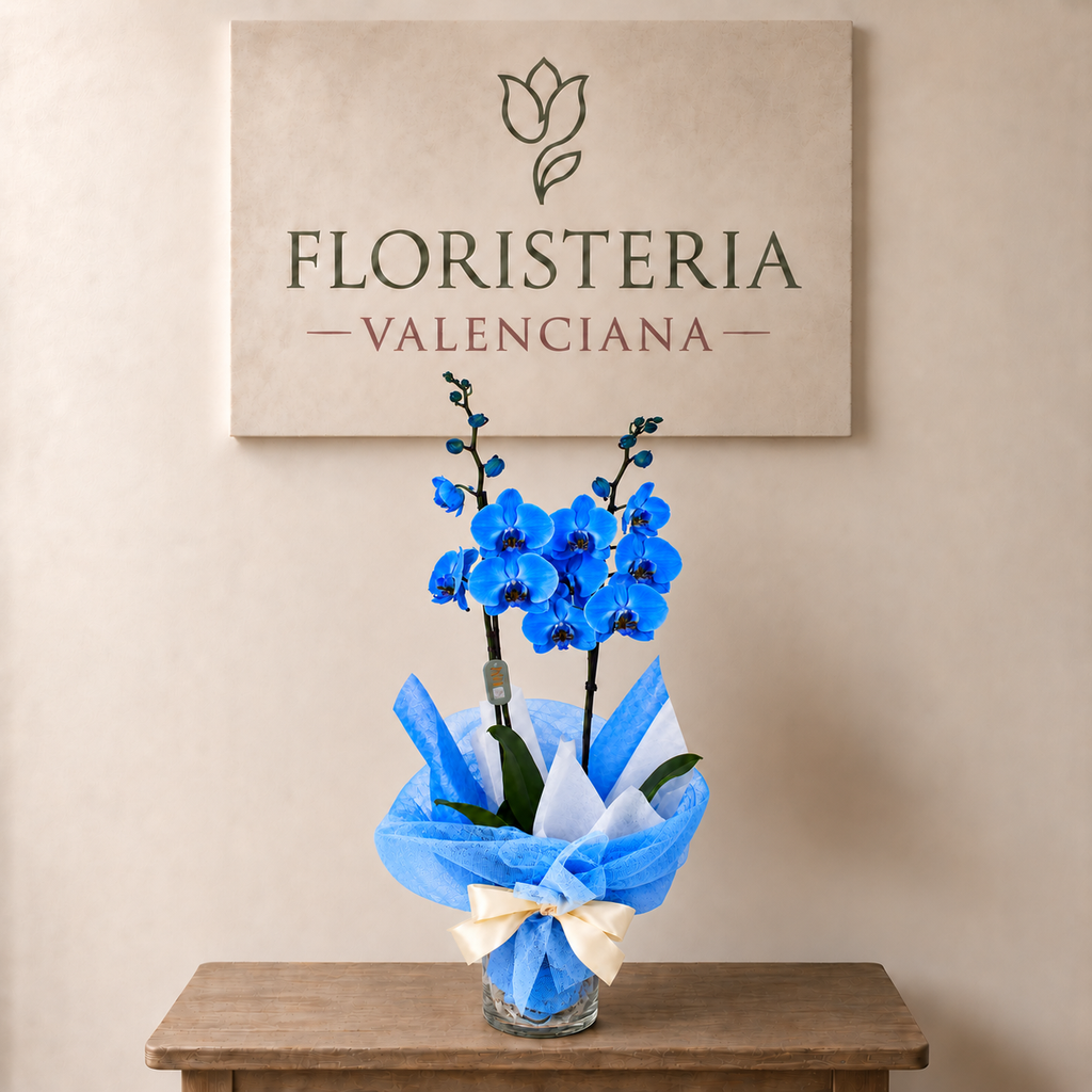 Planta orquidea phalaenopsis con cristal