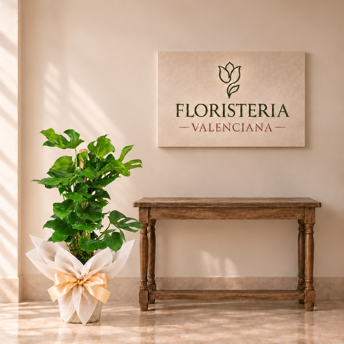 Planta monstera