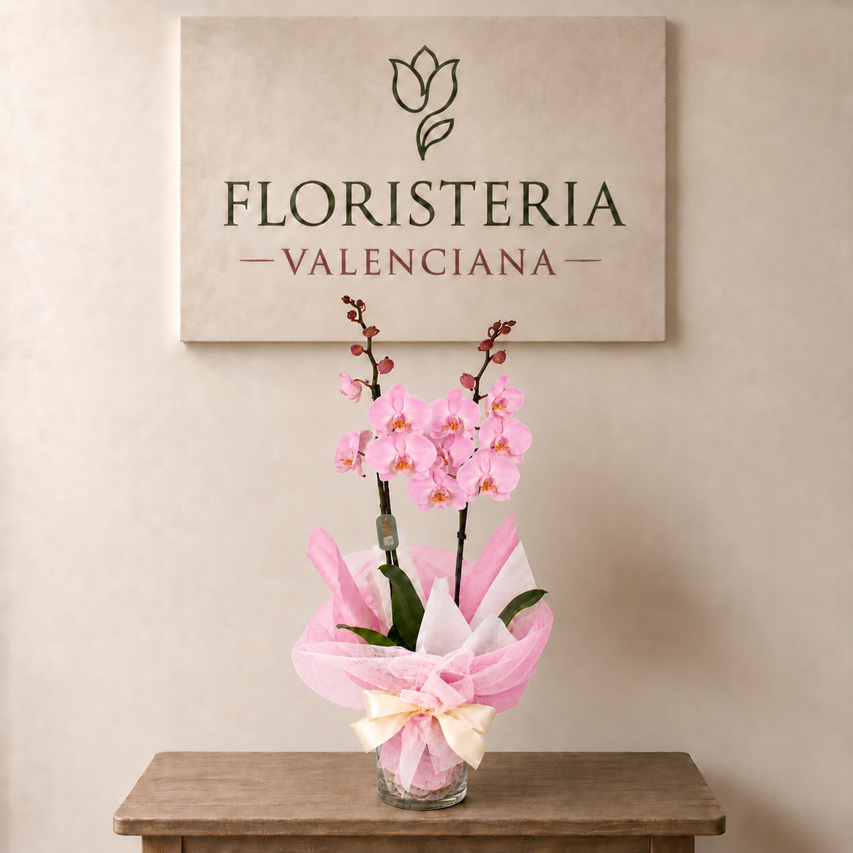Planta orquidea phalaenopsis rosa con cristal