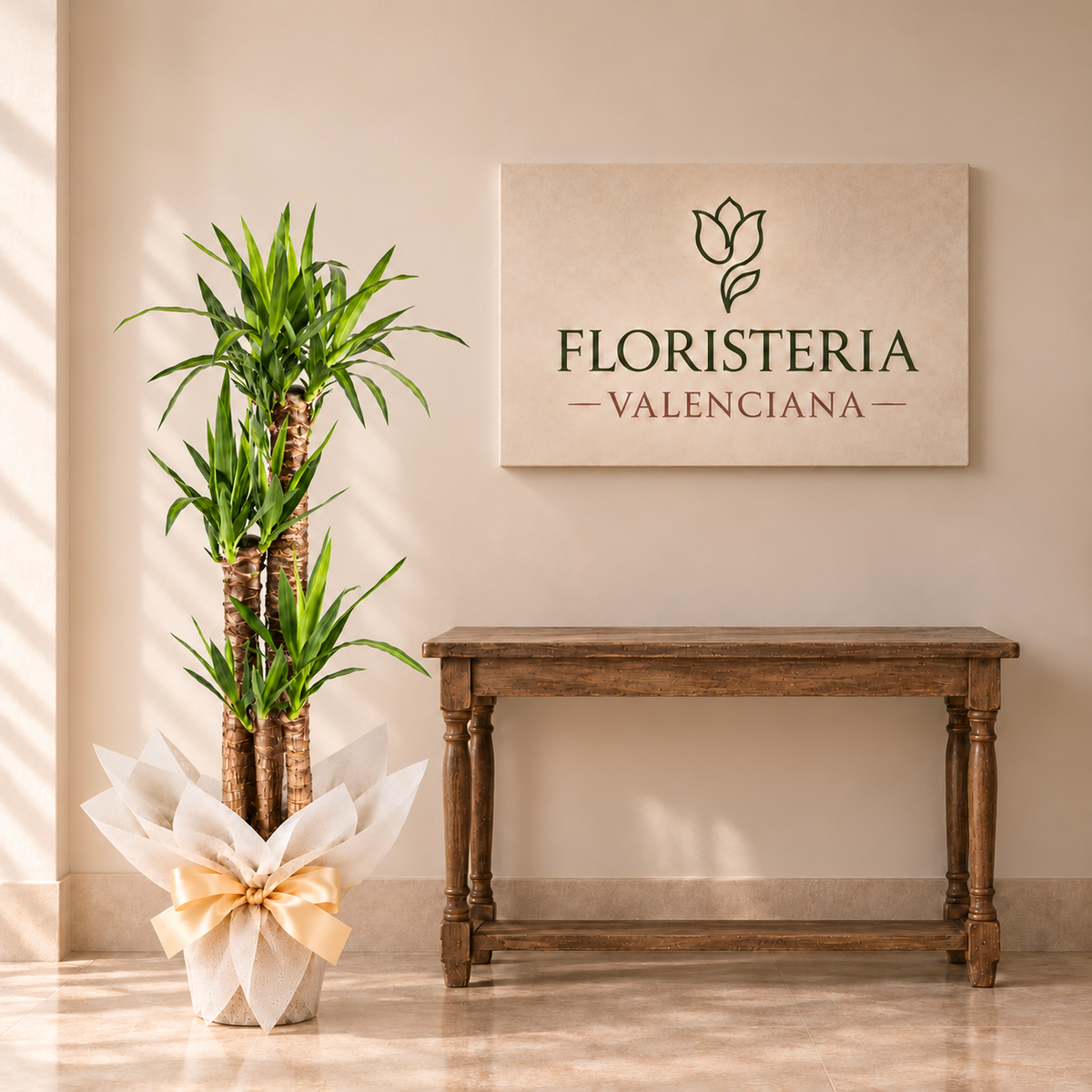 Planta yucca
