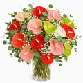 Ramo Anthurium mixtos