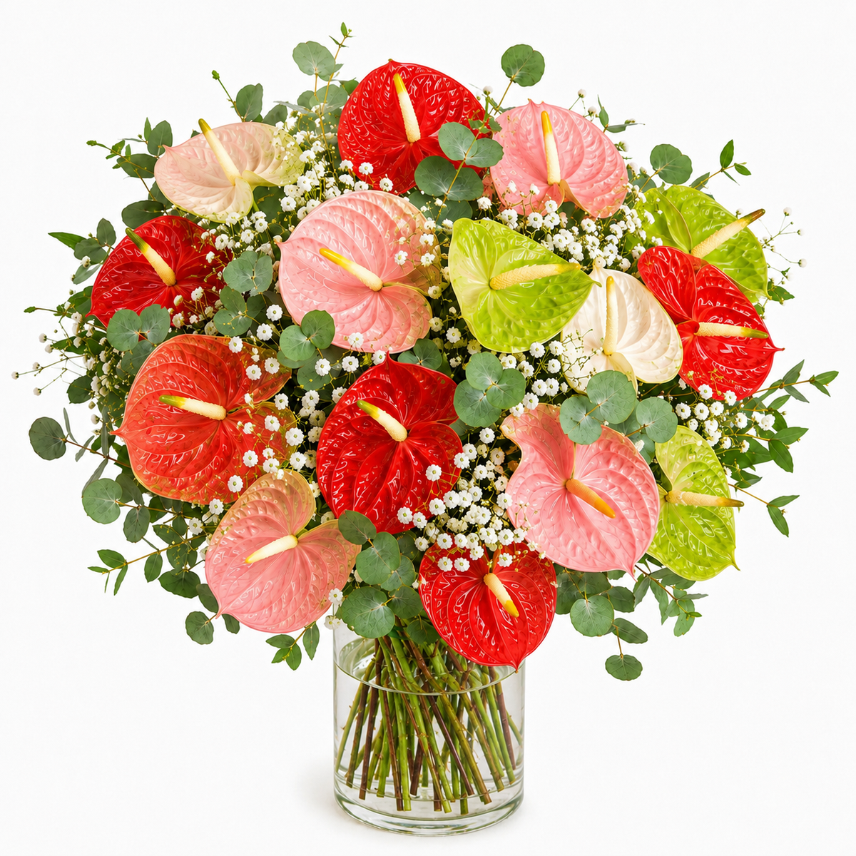 Ramo Anthurium mixtos