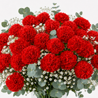 Ramo de claveles rojos