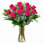 Rosas fucsias de tallo largo