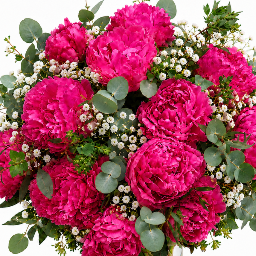 Ramo de peonias fucsias