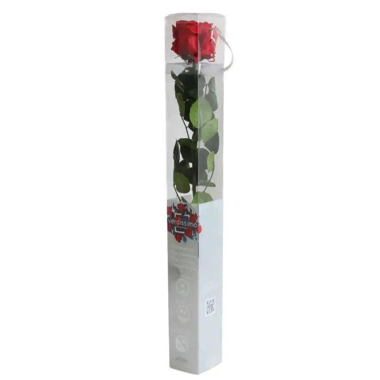 rosa liofilizada roja 50 cm